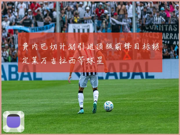 费内巴切计划引进顶级前锋目标锁定莱万吉拉西等球星