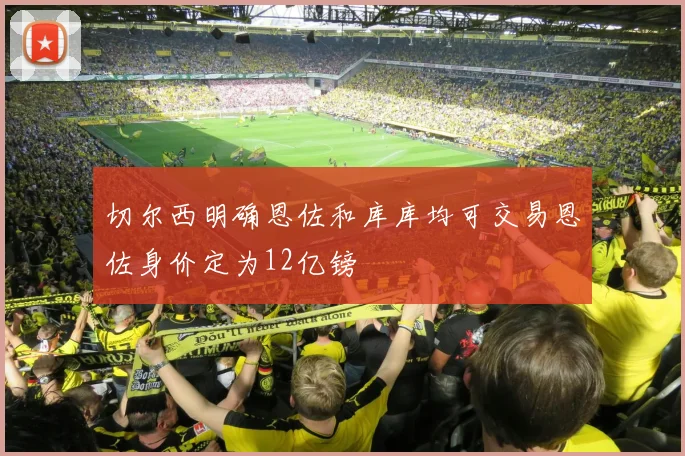 切尔西明确恩佐和库库均可交易恩佐身价定为12亿镑