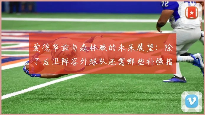 爱德华兹与森林狼的未来展望：除了后卫阵容外球队还需哪些补强措施